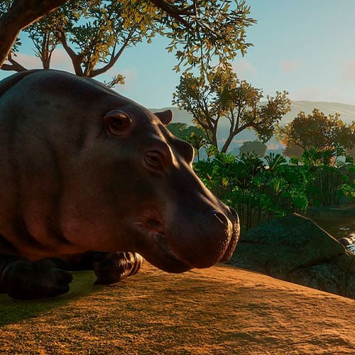 Planet Zoo Cd Key Steam ROW